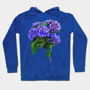 Dainty Blue Hydrangea Hoodie